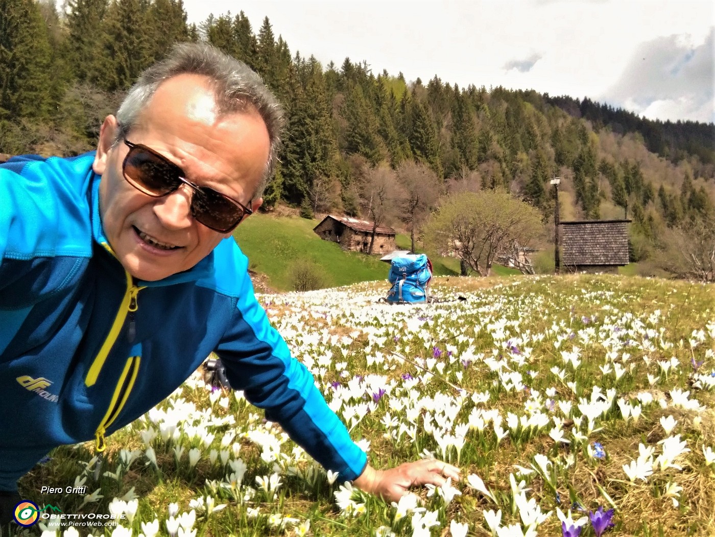 52 Bello stendersi tra i crocus fioriti.jpg